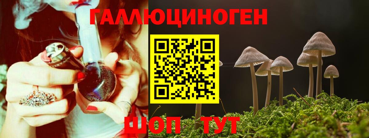 Псилоцибиновые грибы мухоморы  Вход с VPN  Псилоцибиновые грибы Psilocybe  Клинцы 